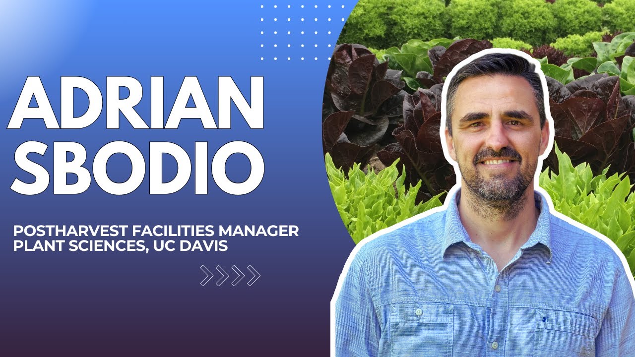 Adrian Sbodio | The Postharvest Network