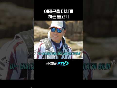이태곤을 미치게 하는 물고기 #shorts