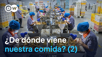 Lo que comemos - Los secretos de la producción de alimentos (2/2) | DW Documental