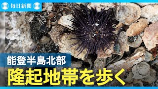 「東日本」とは違う　能登半島地震　漁村復興の難しさ