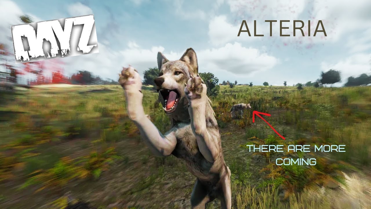 When wolves attack | DayZ Alteria - YouTube