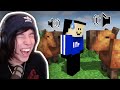 Quackity Got Trolled By 2 Friendly Capybaras With Soundboards! QSMP