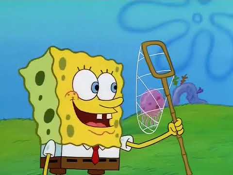 Jellyfish Jam-clip1
