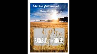 Sunday 7/12 9AM - Fifteenth Sunday of Ordinary Time