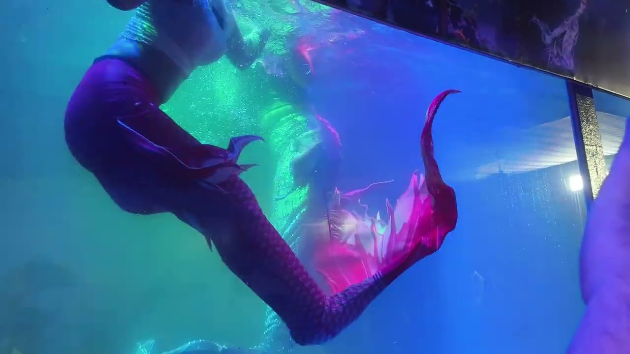 Jalpari in kolkata (mela)