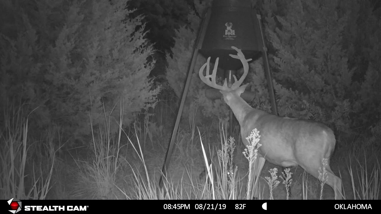 Boss Buck Feeder Stategy Video Youtube