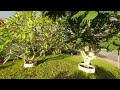 DJI Avata Stormy Days 4K