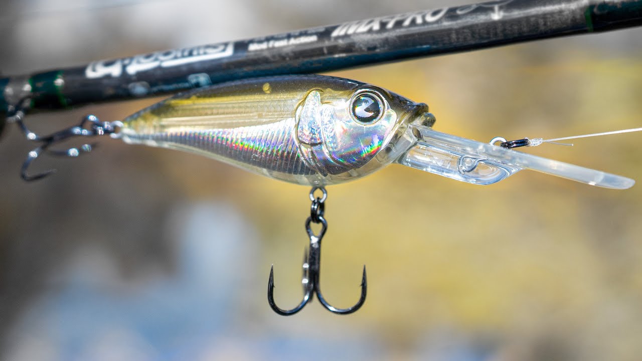 LIPLESS CRANKBAITS - Everything You Need To Know! (Beginner To Advanced) —  Tactical Bassin' - Bass Fishing Blog