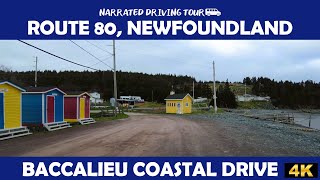 🏞️ Scenic Coastal Drive on Route 80 | Baccalieu Coastal Drive, Newfoundland 🇨🇦 4K