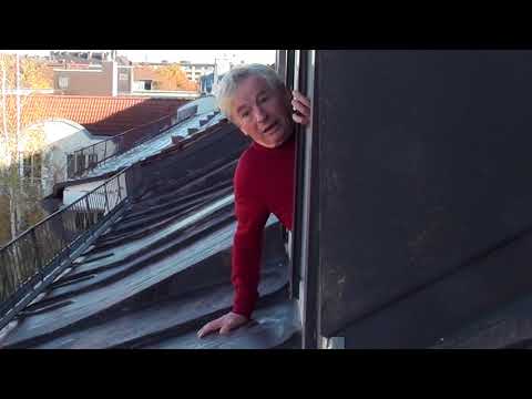 Die Nachtigall und die Rose