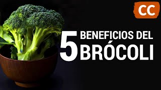 5 Beneficios del Brócoli [Parte 2] | Ciencia de la Comida