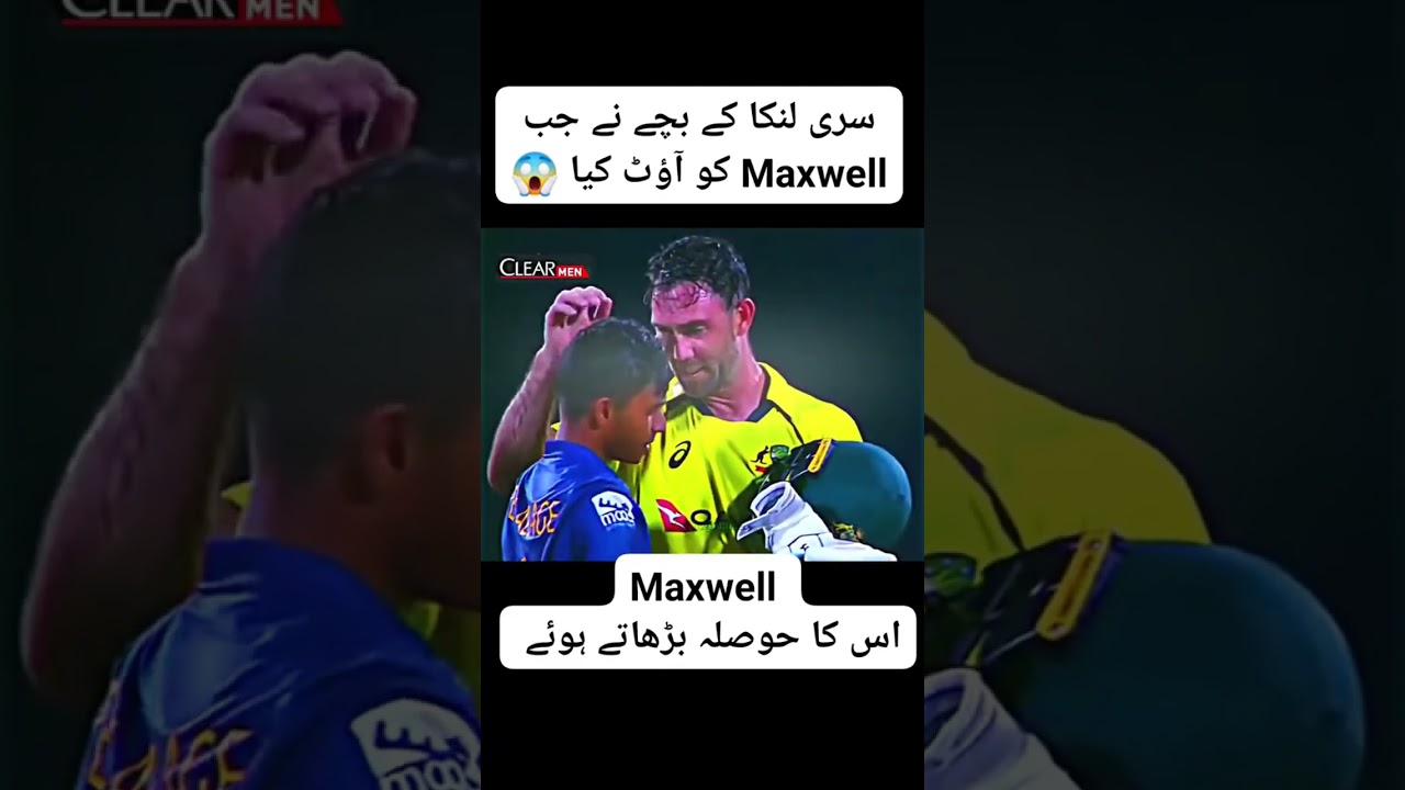 Young Sri Lankan Bowler Stuns Maxwell! 💥👏 