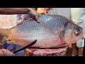 Incredible Big Katla Fish Cutting Skills Live In Fish Market | Fish Cutting Skills