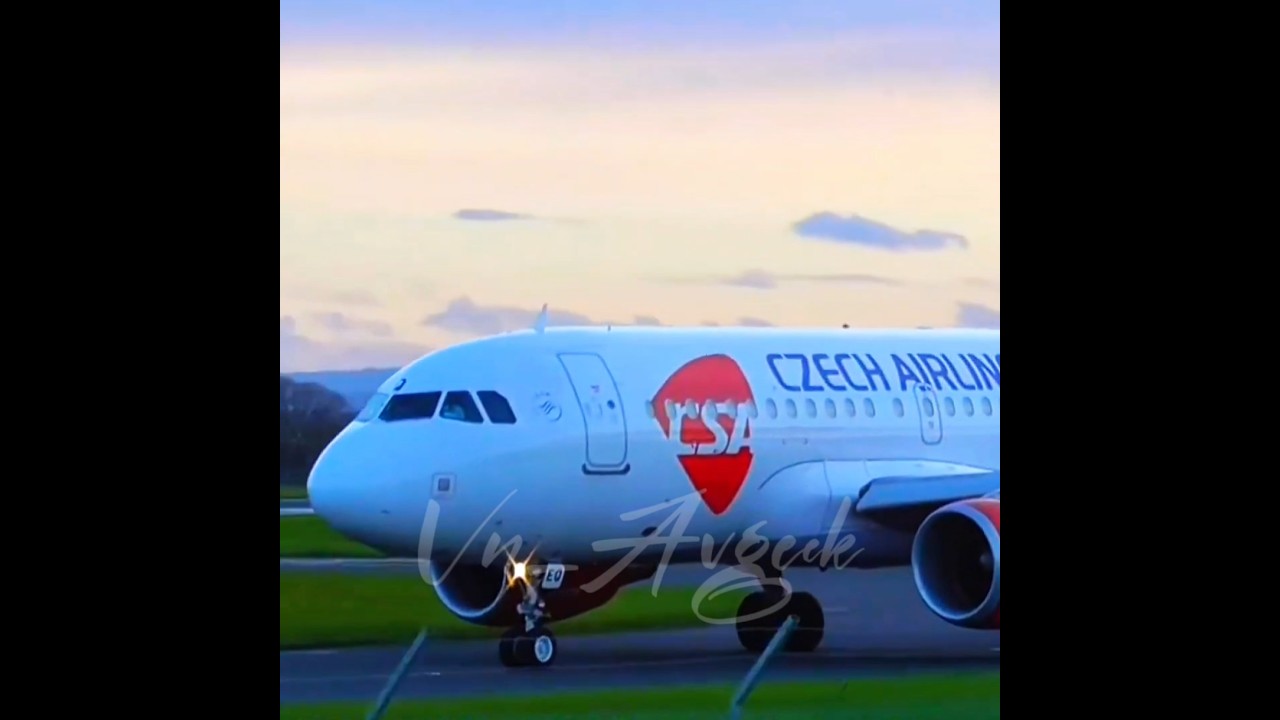 It's been one year 🥀🥀 | IB: 