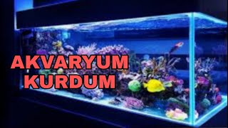 AKVARYUM KURDUM YENİ BALIKLAR...