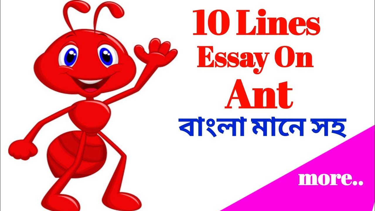 essay on ant for class 1