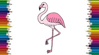 flamingo draw easy step drawing animals bird tutorial