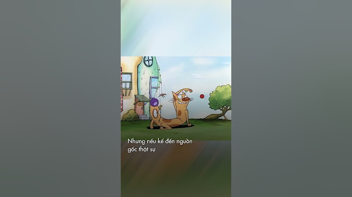 Catdog, nguồn gốc của cặp song sinh kì dị
