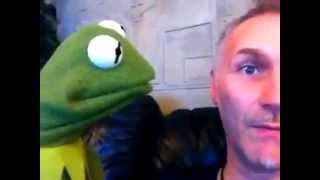 professional kermit the frog puppet