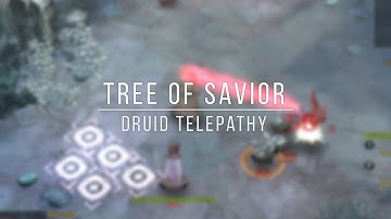 Tree of Savior: Druid Skill Telepathy