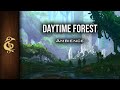 Daytime forest  nature ambience  1 hour