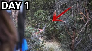 We Called In This RED STAG - 2024 RUT ROAR Trip - Day 1 by Tony Gillahan 3,588 views 3 weeks ago 4 minutes, 52 seconds