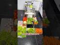 Vegetable Cutting Machine | Sabji Kat Ne Ki Machine | "सब्जियों को सेकंडों में काटें! 😱