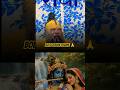 Radhe Radhe 🙏🙏#shorts #viral #premanandjimaharaj