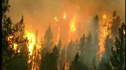 Forest Fires and Oregon Forestry - DayDayNews