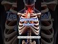 Topographical Anatomy — The Secret Map of the Human Body #foryou #viral #science#study #shortvideo