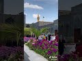 والرضا بعده يالله