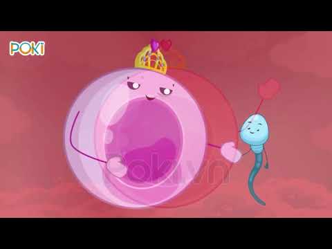 Video Khoa học lớp 5 - Tuần 2
