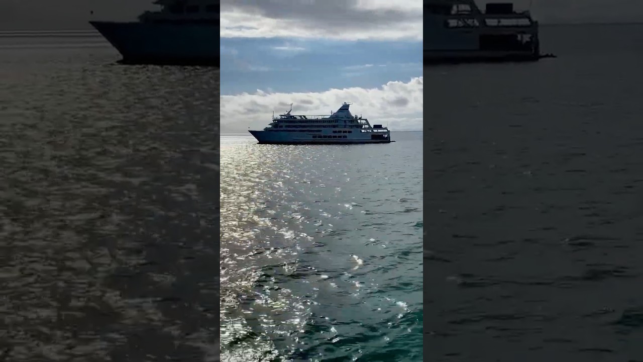 "Ghost" Silhouette Cruise Ship in Fiji Sunset 😱 Captain Cook Cruises at Port Denarau