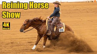 Az Reining Horse Oc. Azrha Inside Slide - Reining Horse Show