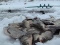 Зимняя рыбалка 2016-2017 открытие сезона(Дневник рыболова)