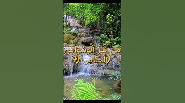 سورة الناس بتلاوة سعد الغامدي❤️استمع الى القران الكريم ❤️🎧