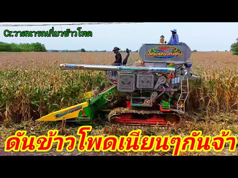 รถเกี่ยวข้าวโพด-ไทยเจริญการช่า