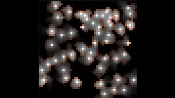 Imitation of Light (Java Program)