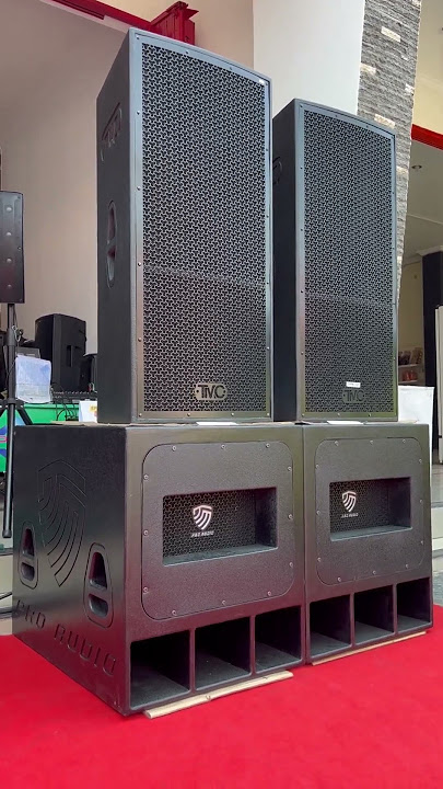 TMpro audio HOREG