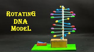 School Science Projects Rotating Dna Model
