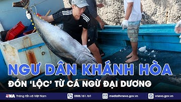Ngư dân Khánh Hòa đón 