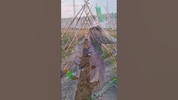 Nông cụ nông nghiệp Tháp Xanh, Công nghệ nông nghiệp, Thế giới Vật tư Máy móc