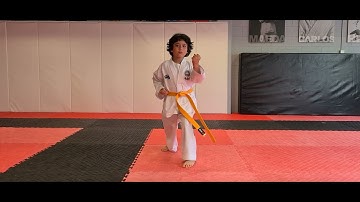 Four Direction Block (Saju Makgi) ITF Taekwon-Do