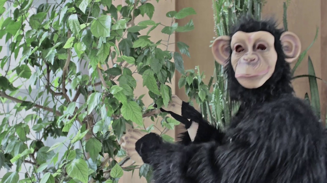 PŮLICÍ VIDEO 4. skupina LFHK 2016