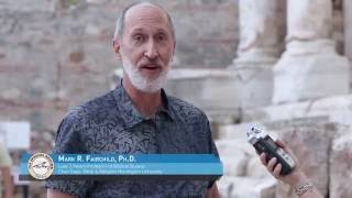Dr. Mark Fairchild