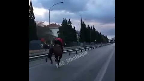 Разбился на лошади