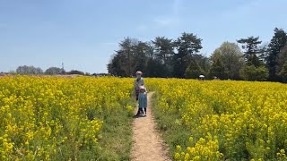 Hoa cải và hai mẹ con tôi \/ Flower reform with my daughter and me