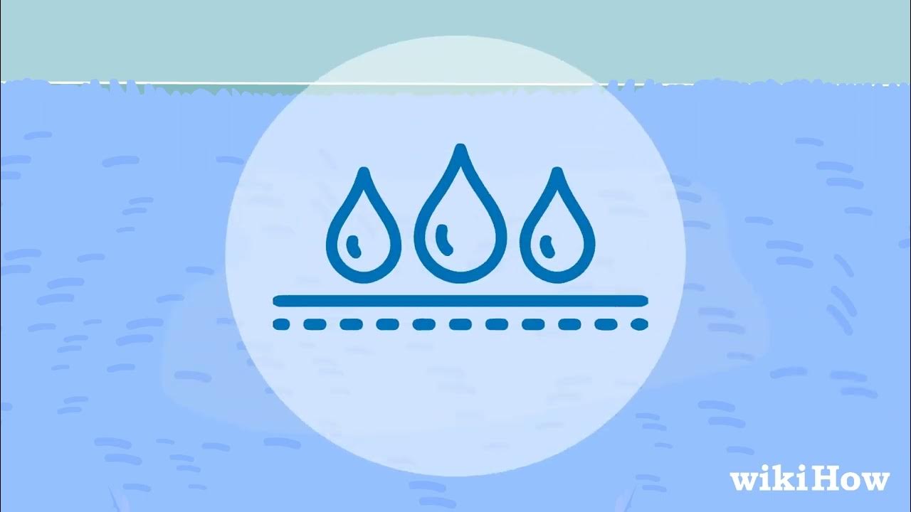 How to Fluff Up Carpet YouTube