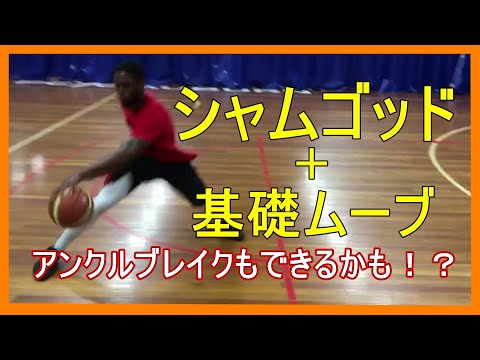 フェローシップ リブ 魔術師 ストバス ハンドリング Mangala Jp