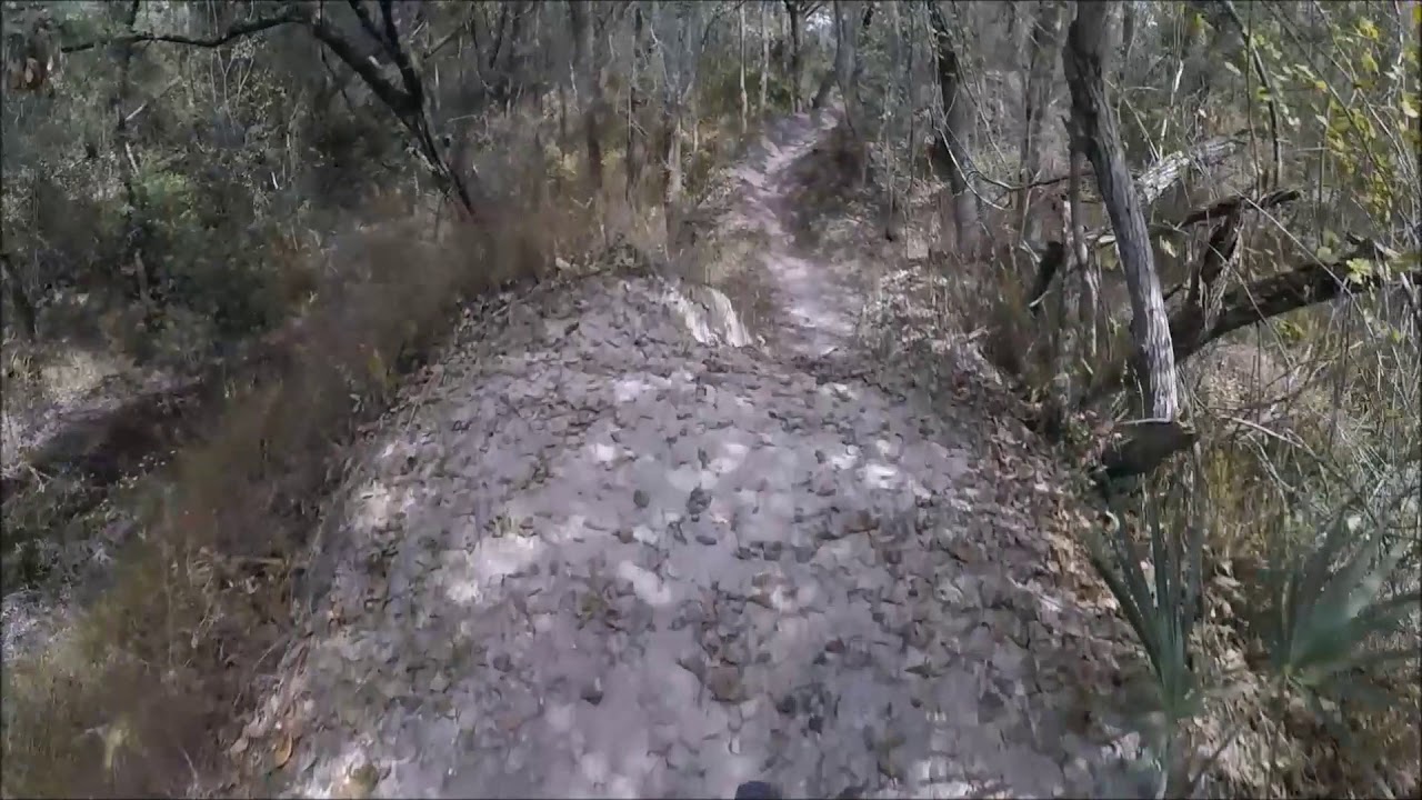 Serpent at Alafia River State Park - YouTube